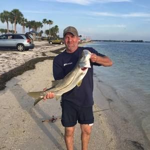 Meet your Posher, Terry